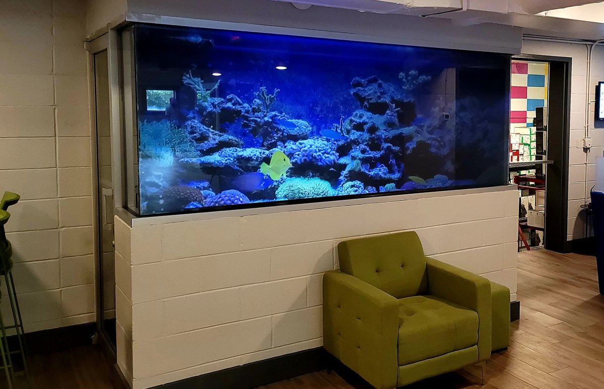 SIScreens's tweet photo. #CommercialAV #SI Dealer @theofficeppl transformed an old theater ticket booth into a "fish tank"! Those aren't actually fish, though! They are a projection onto SI's Black Diamond Film, a #rearprojection screen that you can apply to clear rigid surfaces! https://t.co/0IisvRjQgx https://t.co/whFeihO56O