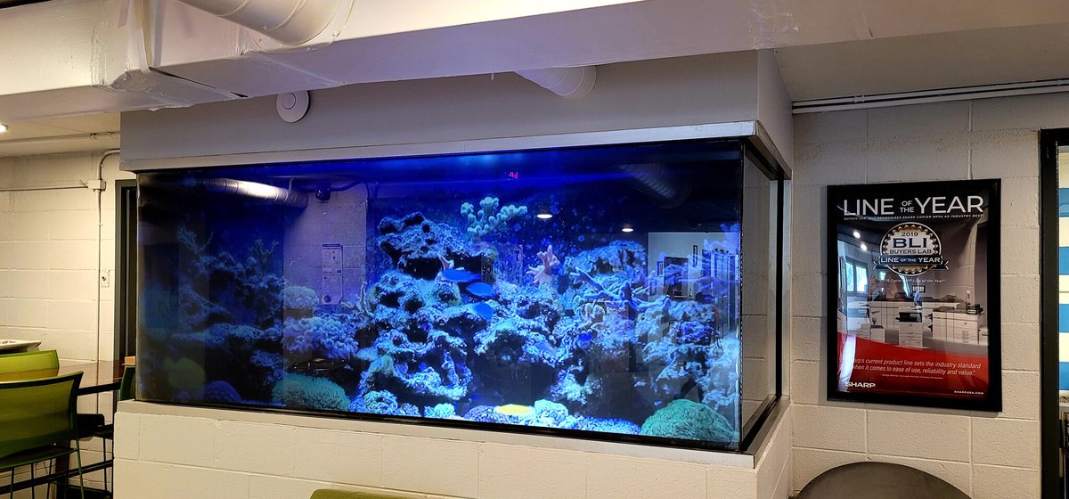 SIScreens's tweet photo. #CommercialAV #SI Dealer @theofficeppl transformed an old theater ticket booth into a "fish tank"! Those aren't actually fish, though! They are a projection onto SI's Black Diamond Film, a #rearprojection screen that you can apply to clear rigid surfaces! https://t.co/0IisvRjQgx https://t.co/whFeihO56O