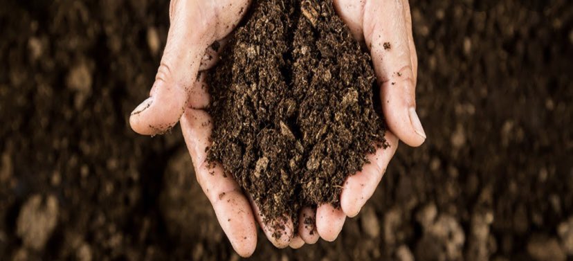 blossy__'s tweet photo. Watch Sadhguru address Soil health at COP15 here https://t.co/7X94S5OKQM 

Let’s come together to #SaveSoil

#SaveSoilAtCOP15 #UNCCDCOP15 #COP15 https://t.co/Sf9Z4Jta51
