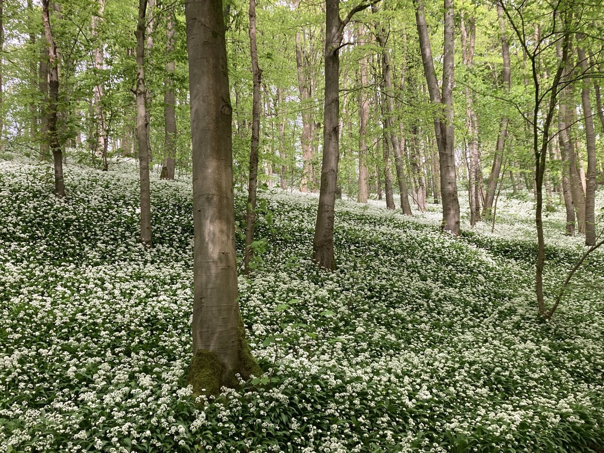 Angela Schofield tweet media