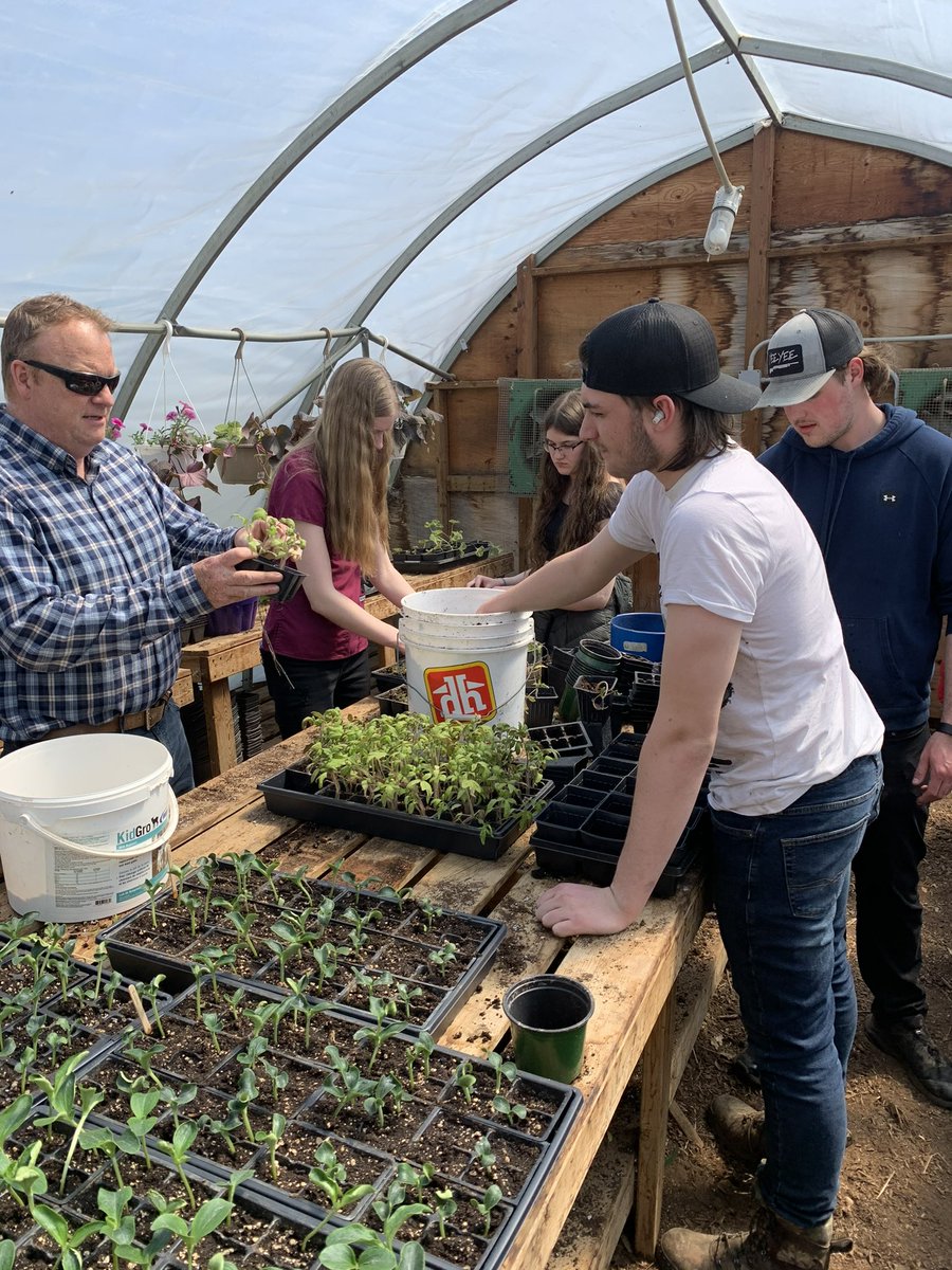 BWDSB Program Department tweet media