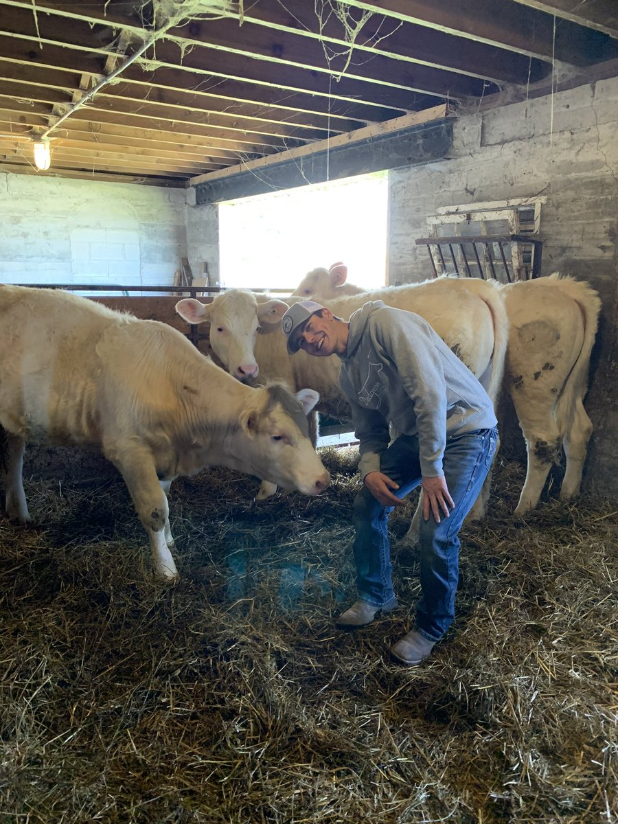 BWDSB Program Department tweet media