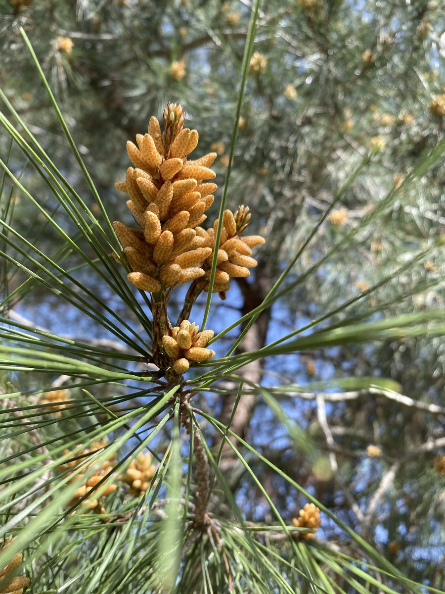 Dua etme ihtimalim varsa hep umut da yok mudur? Çünkü verecek olan ancak O’dur.