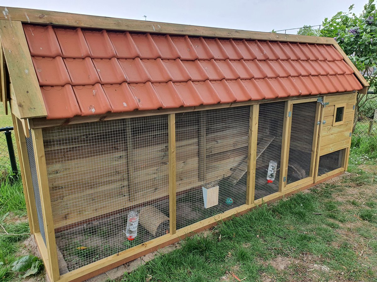 Wij zijn er klaar voor! 🐇🐇 #jeelo #zorgenvoordieren