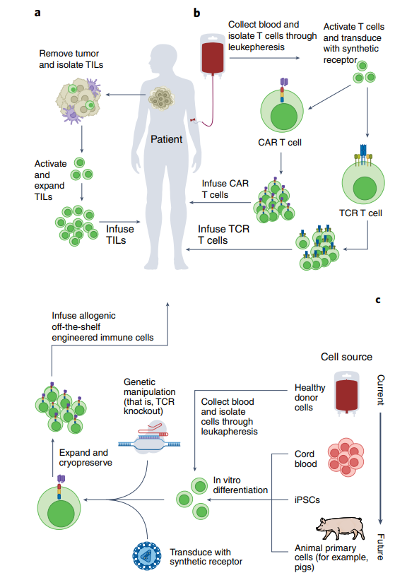 jsoriamd's tweet photo. 10 years of cancer cellular immunotherapy, key challenges facing the field &amp; strategies that are emerging to overcome these obstacles
https://t.co/HeZucN7QGa https://t.co/mcyNZ3WZNQ