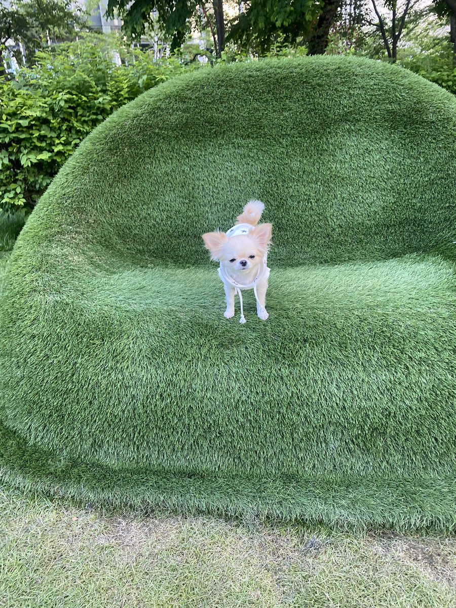 1228MAMI's tweet photo. アーシング。今日はそんな日。
時々裸足になるっていいよね
ラッキーはいつもだけどw https://t.co/xP3GA70Lrc