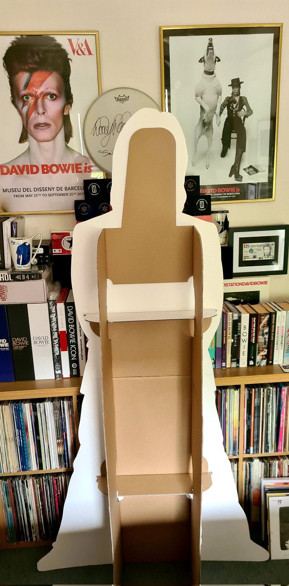 love_me_avenue's tweet photo. DAVID BOWIE is in every room. #Toy #BowieForever #shoppromo https://t.co/NZsWszTGDZ