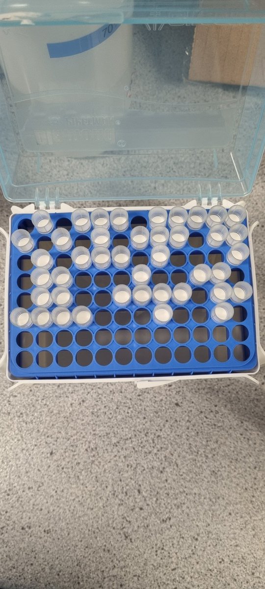 Jean O'Dwyer tweet media