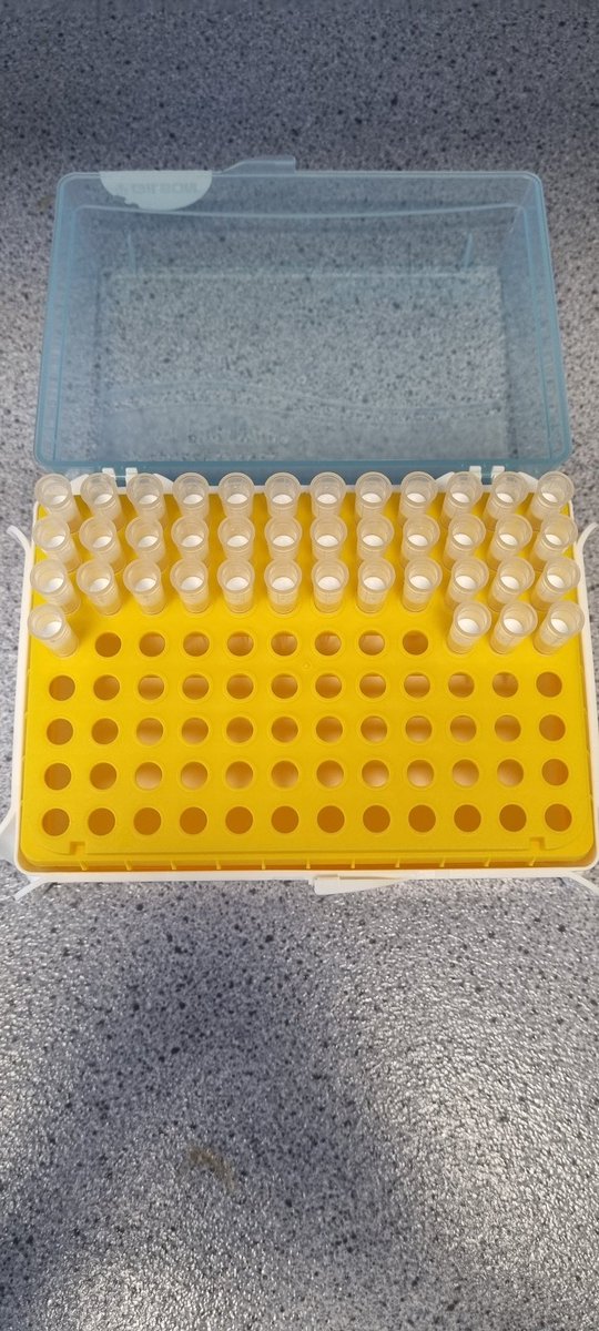 Jean O'Dwyer tweet media