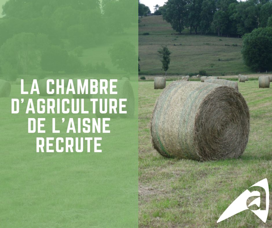 Chambagri_02's tweet photo. @Chambagri_02 #recrute! 
- Un(e) chef(fe) du service Agronomie et Environnement
 👉 https://t.co/1k3iRCqFX4
- Un(e) chargé(e) de mission formation continue
 👉 https://t.co/VkNr8ZPx8k
- Un(e) formateur(rice) en aménagement paysager
 👉 https://t.co/VVuSY5BrTw
#emploi #Aisne https://t.co/9qSWvhmXcr