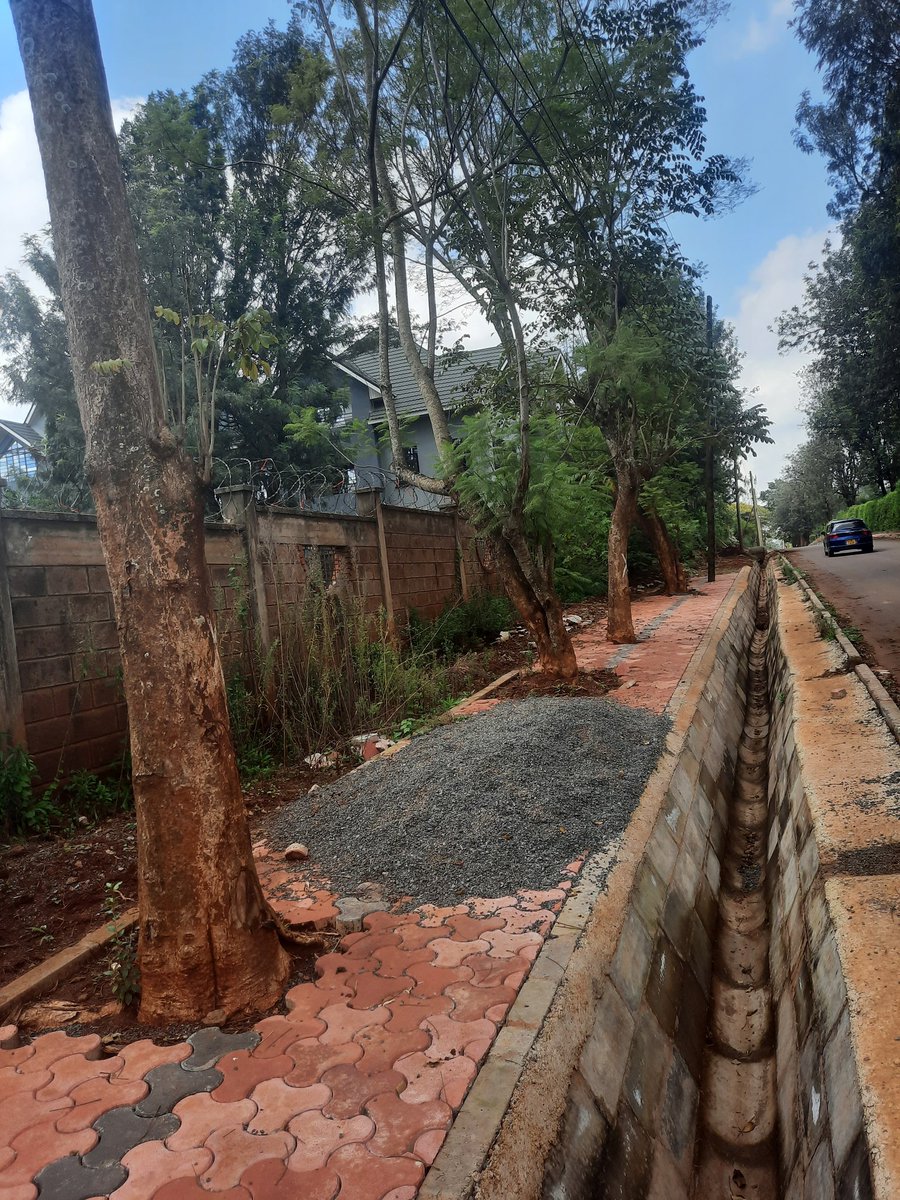 HermanWaita's tweet photo. Road + walkway under construction.

Contractor had planned to cut down every tree along the road.

Neighbourhood resident told contractor that he would take them to court and bleed them dry through legal expenses if they did.

Contractor backed down, built round the trees. https://t.co/bbUTBvBnS6