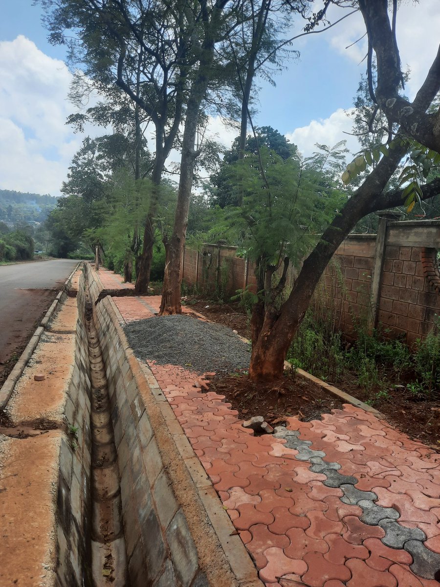 HermanWaita's tweet photo. Road + walkway under construction.

Contractor had planned to cut down every tree along the road.

Neighbourhood resident told contractor that he would take them to court and bleed them dry through legal expenses if they did.

Contractor backed down, built round the trees. https://t.co/bbUTBvBnS6