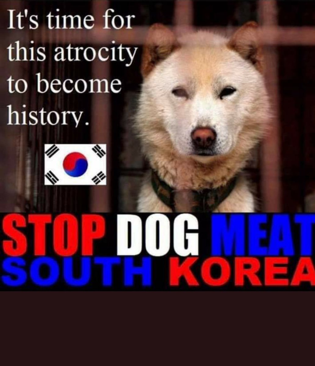 #EndBoknal #Southkorea 
END DOG CAT MEAT TRADE
<a href="/sukyeol__yoon/">윤석열 Yoon Suk Yeol</a> <a href="/moonriver365/">문재인</a> <a href="/TheBlueHouseENG/">Moon Jae-in's Cheong Wa Dae</a> <a href="/TheBlueHouseKR/">문재인정부 청와대</a> <a href="/mafrakorea/">농림축산식품부</a> <a href="/TheMFDS/">식품의약품안전처</a> @koreantravel <a href="/SouthKoreaDaily/">South Korea Daily</a> <a href="/southkoreanews/">South Korea News.Net</a> <a href="/southkoreanews/">South Korea News.Net</a>