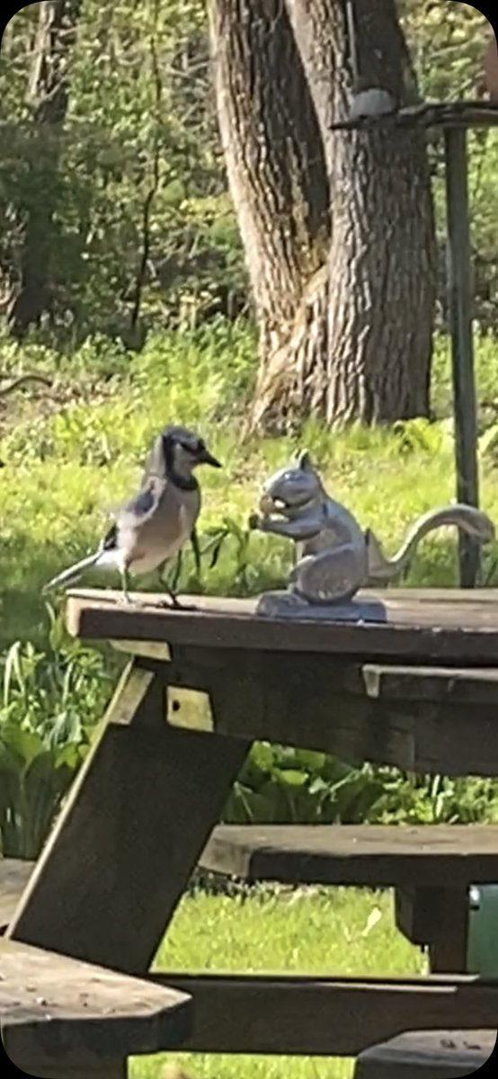 Serpico RET NYPD DET tweet media