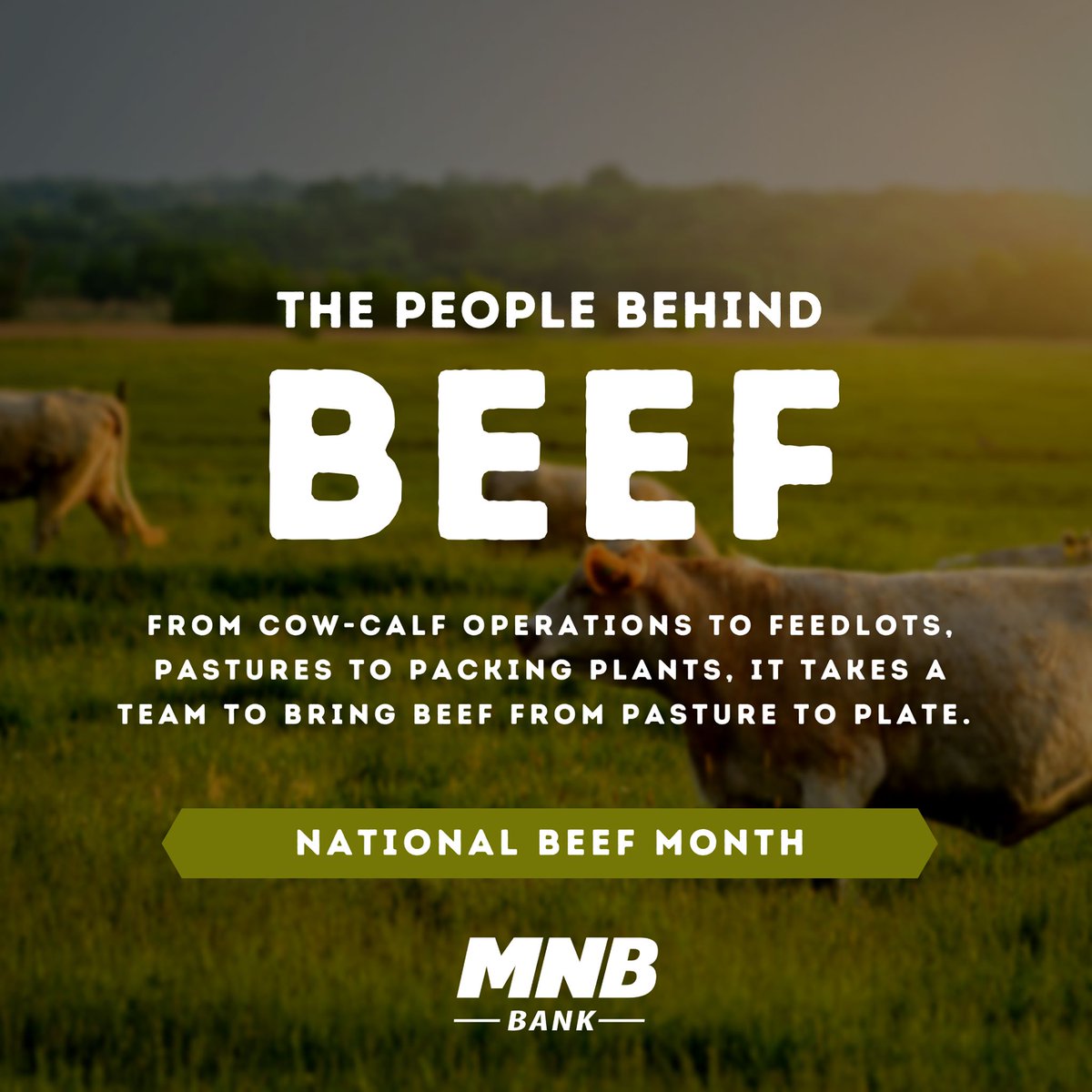 With cattle outnumbering Nebraskans nearly 4 to 1, beef production represents our state's single largest industry.

Thank you to our hardworking farm and ranch families! 
 #BeefMonth
