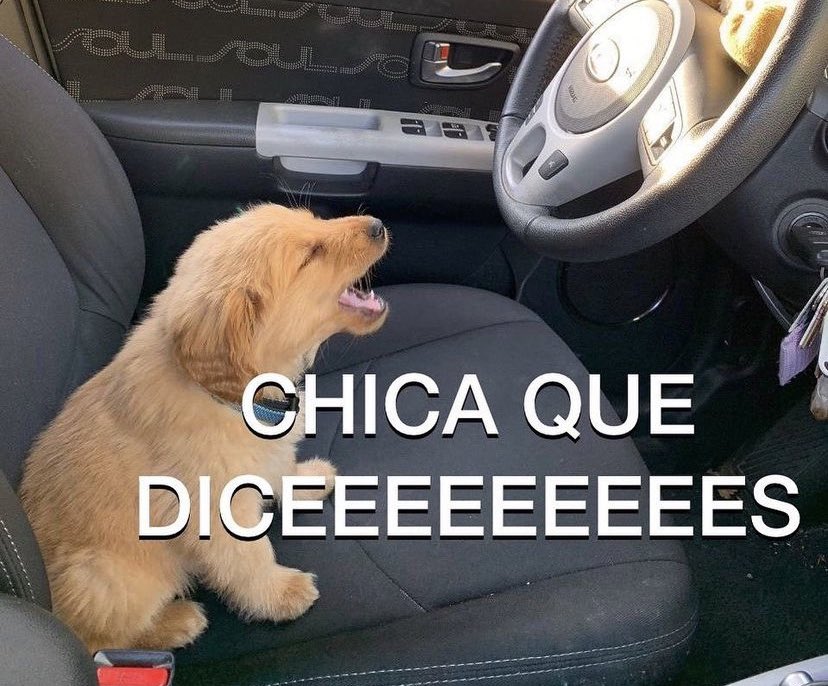BenitoSustaita's tweet photo. @DanielaRodrice @FanyDominguez17 Ay chiquis, quien lo diría 😂 https://t.co/ajQnC6uG65