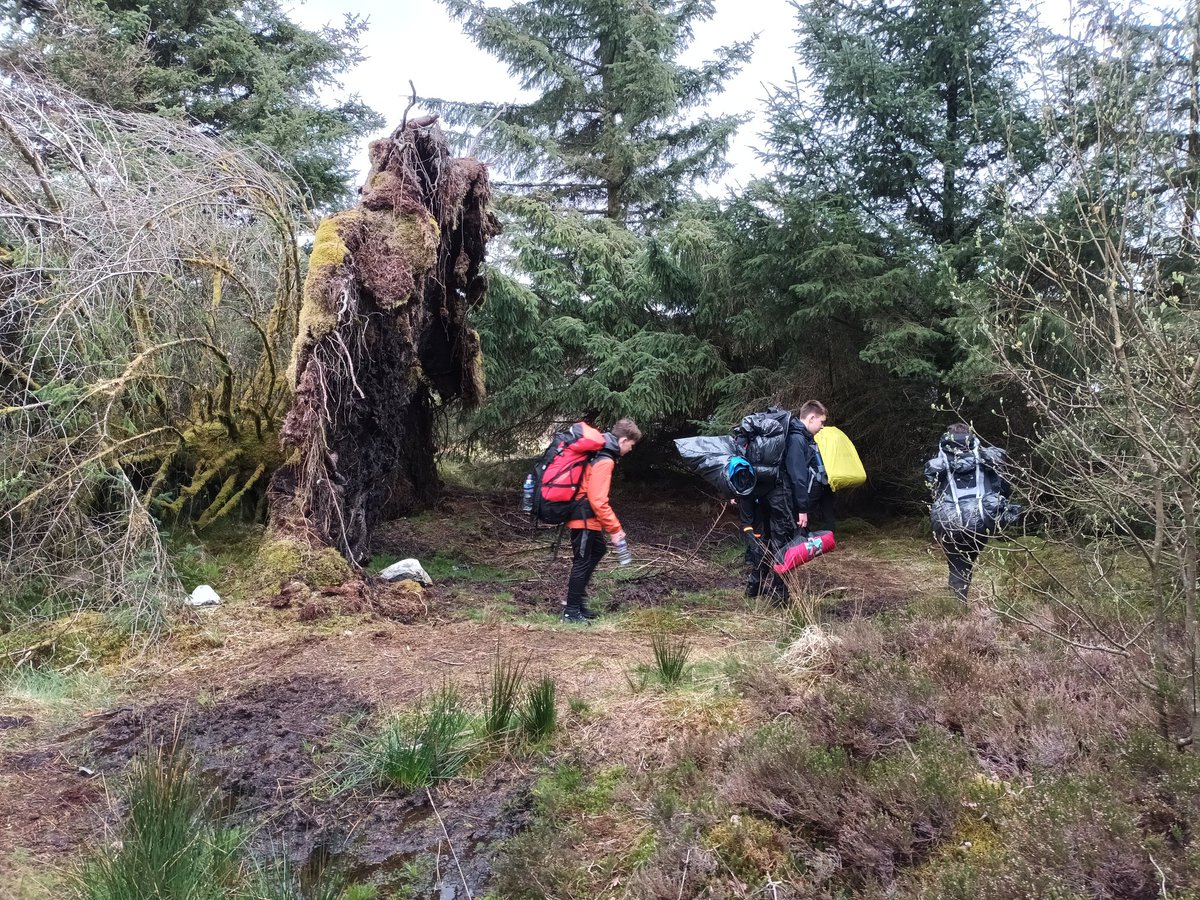 MarrDofE tweet media