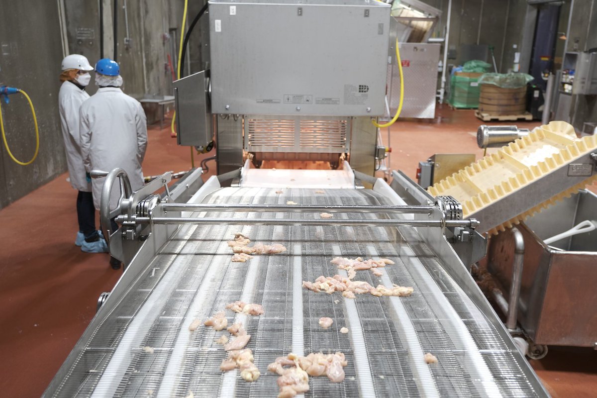 PPOptica's tweet image. Today is #WorldPoultryDay!

This day recognizes the work the poultry meat sector does to provide safe food to consumers.

We&apos;re proud to support #PoultryProcessors produce high-quality meat by assessing quality and foreign material detection with our Smart Imaging System.
