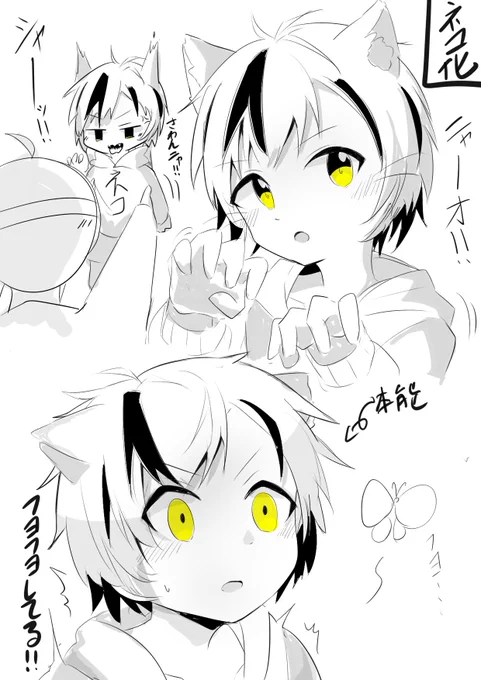 なんやかんや🐱 