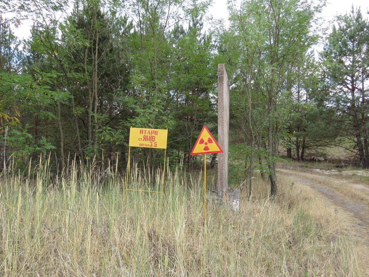 radioecology's tweet photo. Our letter in Nature: 'Ukraine: restore Chernobyl’s radioecology collaboration' published today https://t.co/MCFMCc1jQR https://t.co/r5npu41hZq