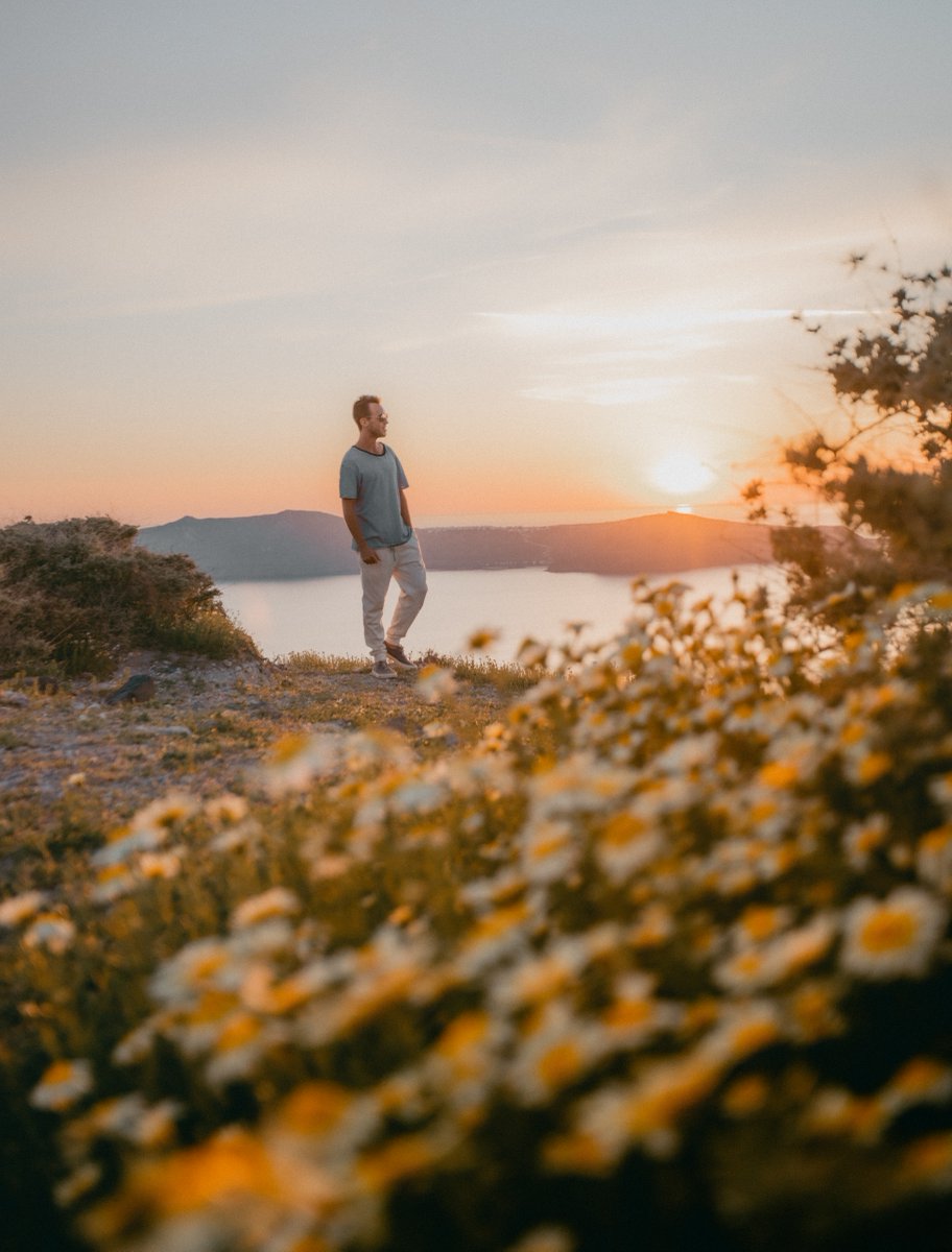 RecreateInfo's tweet photo. It’s that time of year where wildflowers are blooming and decorating the trails in a sea of color. 🌼 As you admire and snap photos of the delicate spring blooms, remember to stay on trail and respect these beauties. #RecreateResponsibly #CreateResponsibly https://t.co/CVRos3WzSc