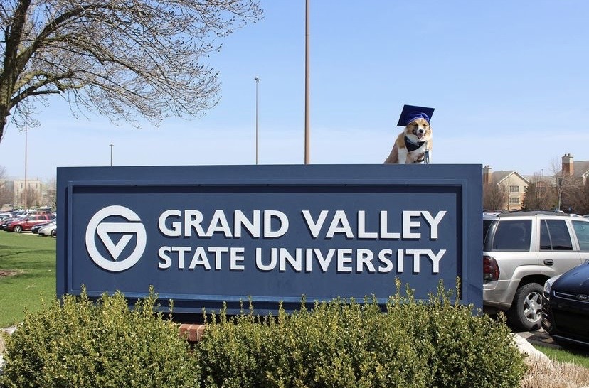 Everyone say congrats to Bryson the corgi who graduated with a B.S. in treatology and a minor in barking 🦴 

2019 ➡️ 2022

📷: @/brysonthecorgi