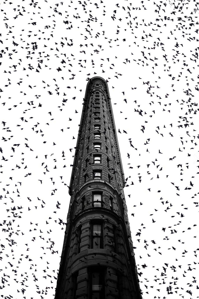 Raylivez tweet media