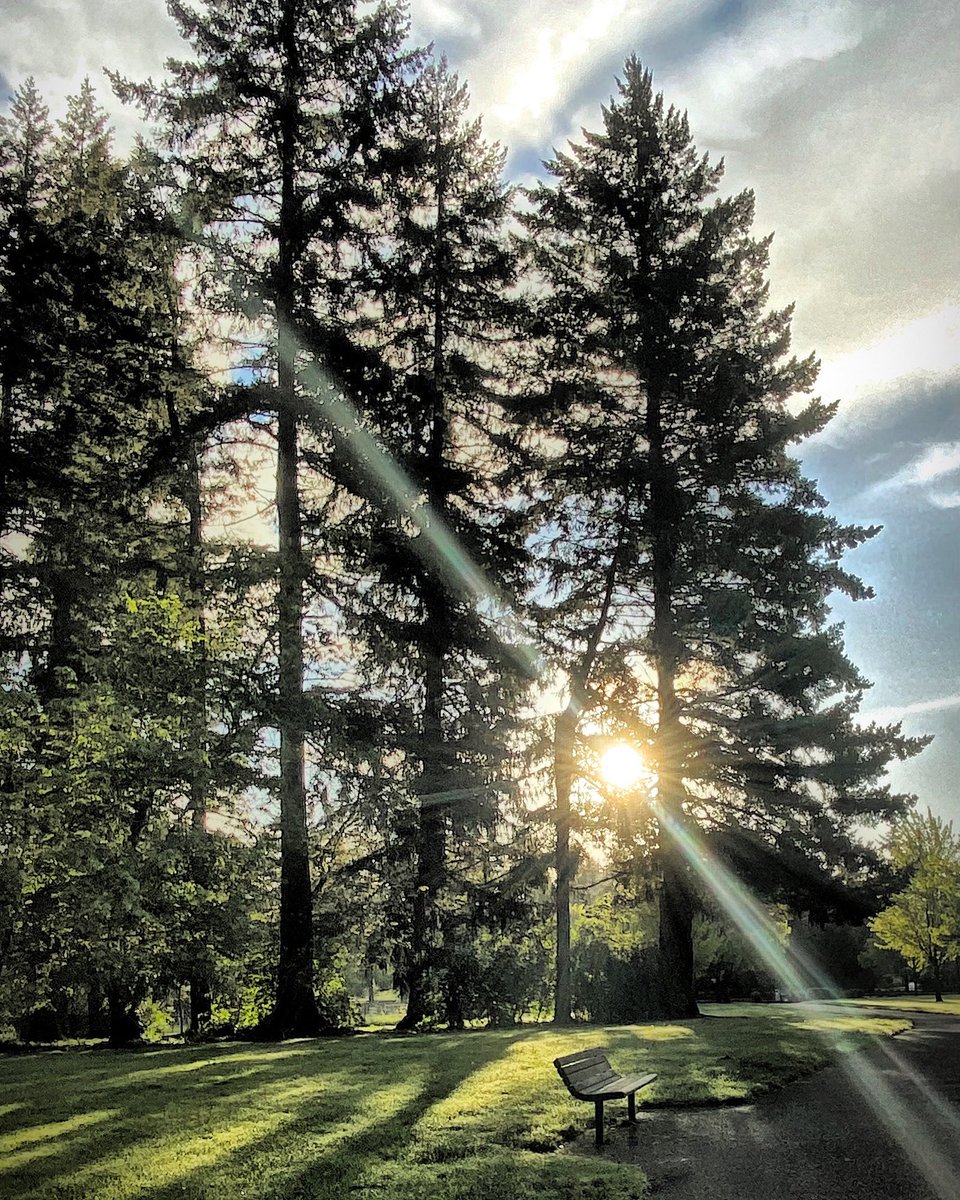 jennykinsutton's tweet photo. PNW morning. Gosh I received amazing light this am. #gratitude #PacificaNorthwest https://t.co/nTnkNaY2Wk