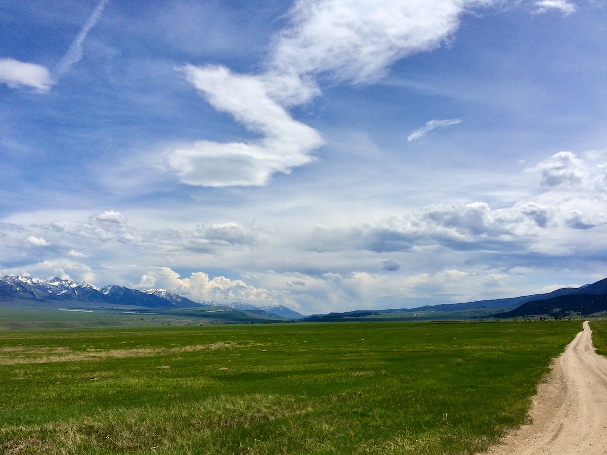 JasonKechely's tweet photo. My kind of 'lawn'...
Upper #MadisonRiver in late May.
#MadisonRange #Montana #Spring https://t.co/gENmTrKOH5