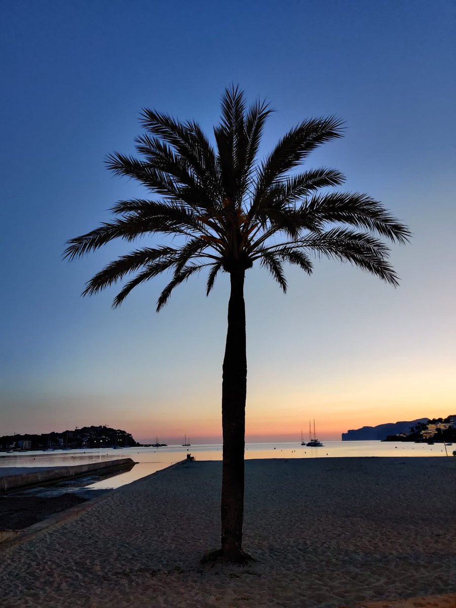 It is easier to strive for perfection when you are never bored #TreeClub #Thinkingfast&amp;slow