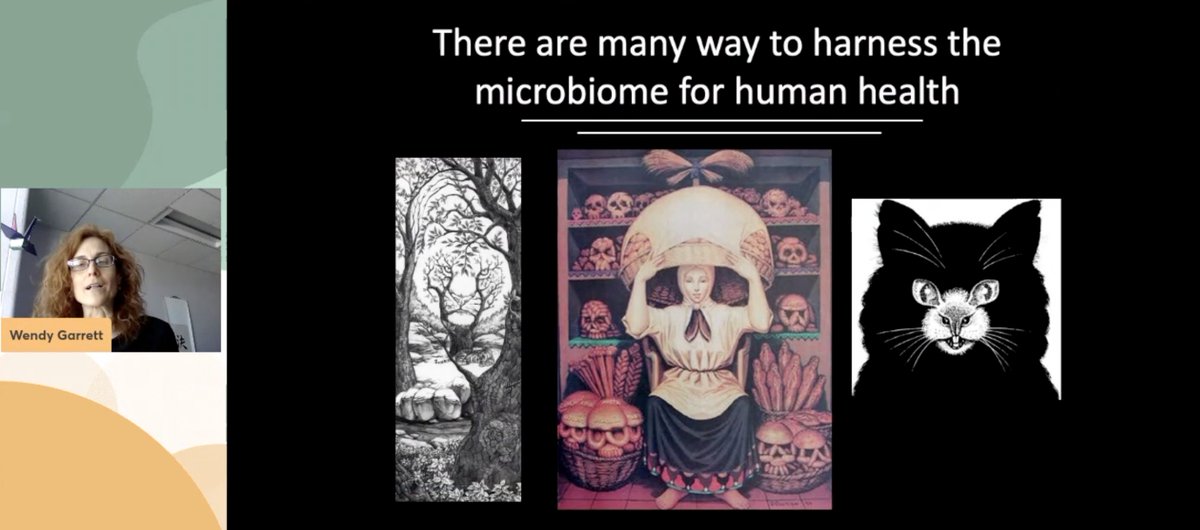 ⭐️ Keynote talk: 

Host microbiota interactions and colon cancer
By Wendy Garrett <a href="/theGarrettLab/">Garrett Lab</a> right now!

microbiome-vif.org/program/