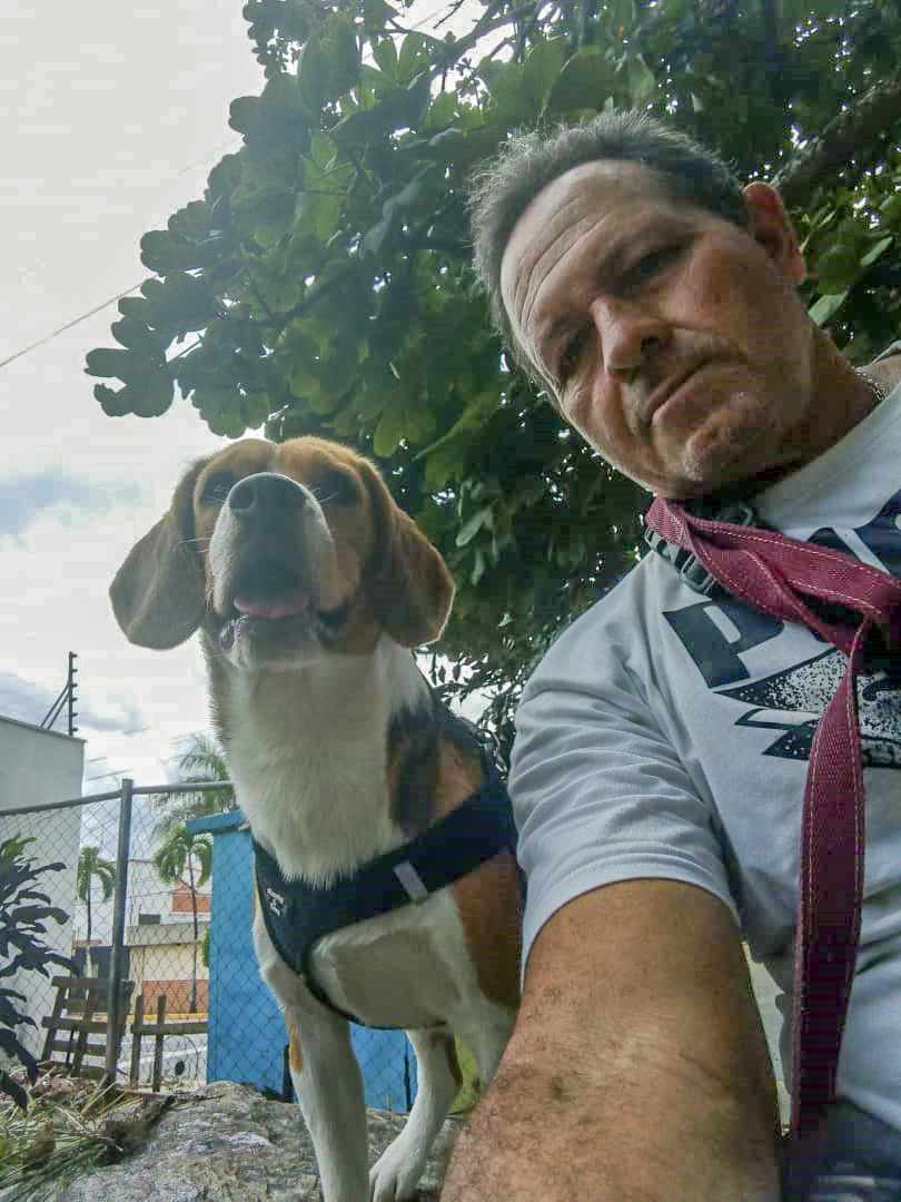 vodkcan's tweet photo. Bienvenido Bailey, de la raza Beagle, a su Adiestramiento Básico 🐶😉👍

#AdiestramientoCanino  #EducaciónCanina  #ObedienciaCanina #VodkcanEscuelaCanina  #Vodkcan  #EscuelaCanina #PerroEducado  #AdiestramientoDomicilio #EntrenamientoADomicilio https://t.co/yRqVgAzZse