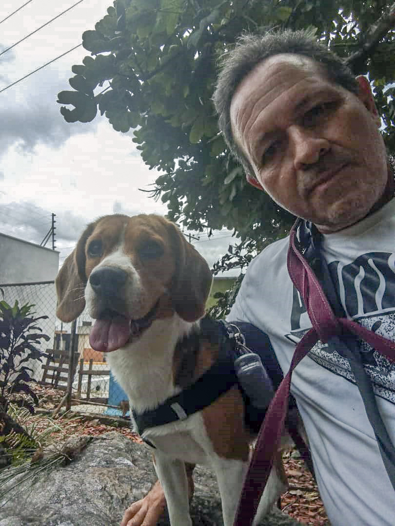 vodkcan's tweet photo. Bienvenido Bailey, de la raza Beagle, a su Adiestramiento Básico 🐶😉👍

#AdiestramientoCanino  #EducaciónCanina  #ObedienciaCanina #VodkcanEscuelaCanina  #Vodkcan  #EscuelaCanina #PerroEducado  #AdiestramientoDomicilio #EntrenamientoADomicilio https://t.co/yRqVgAzZse