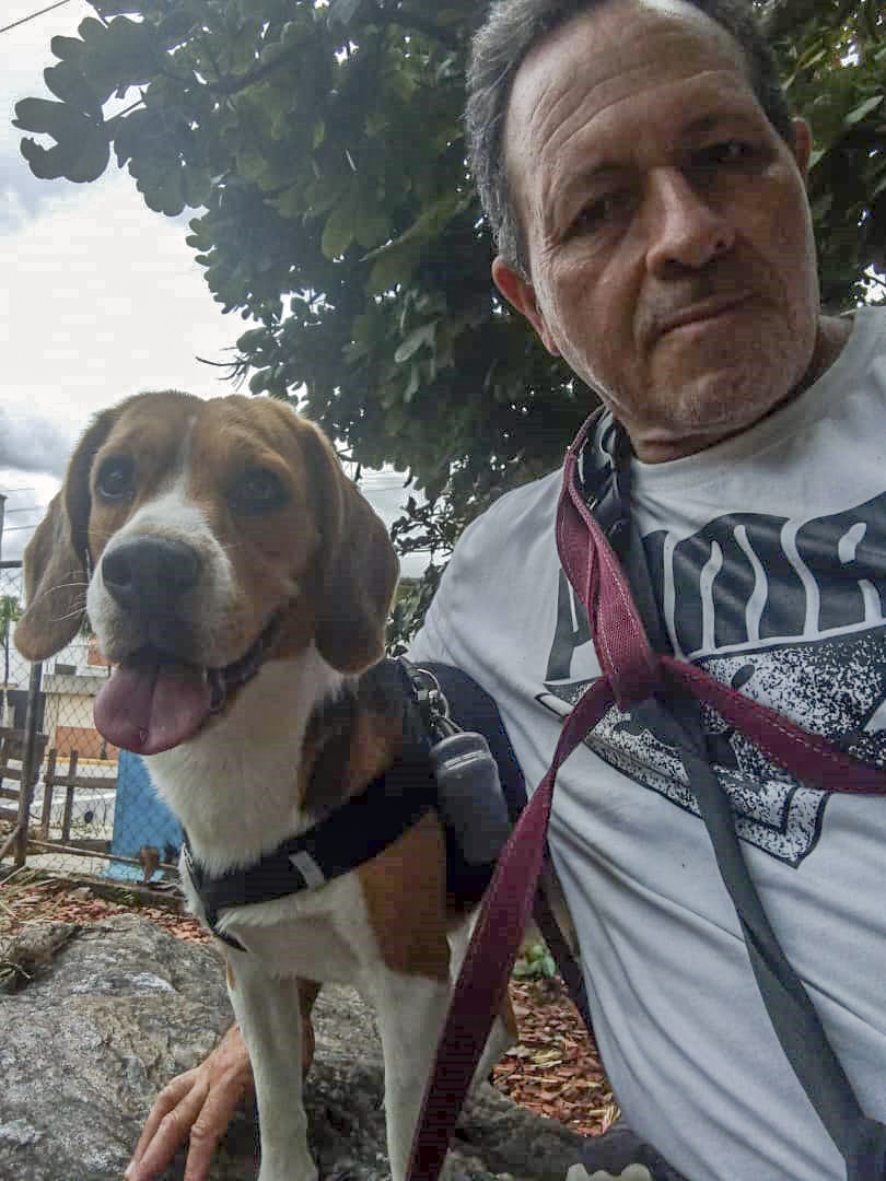 vodkcan's tweet photo. Bienvenido Bailey, de la raza Beagle, a su Adiestramiento Básico 🐶😉👍

#AdiestramientoCanino  #EducaciónCanina  #ObedienciaCanina #VodkcanEscuelaCanina  #Vodkcan  #EscuelaCanina #PerroEducado  #AdiestramientoDomicilio #EntrenamientoADomicilio https://t.co/yRqVgAzZse