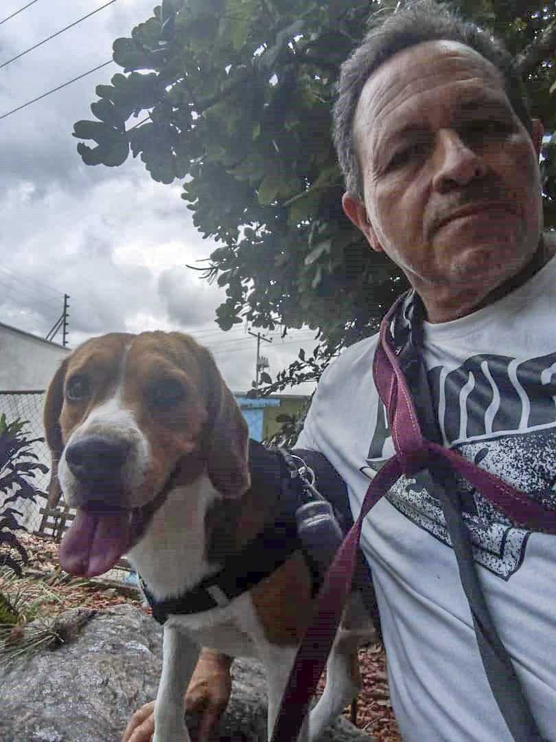 vodkcan's tweet photo. Bienvenido Bailey, de la raza Beagle, a su Adiestramiento Básico 🐶😉👍

#AdiestramientoCanino  #EducaciónCanina  #ObedienciaCanina #VodkcanEscuelaCanina  #Vodkcan  #EscuelaCanina #PerroEducado  #AdiestramientoDomicilio #EntrenamientoADomicilio https://t.co/yRqVgAzZse