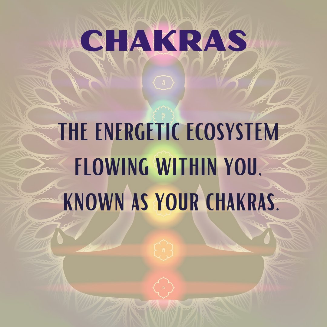 Just like any ecosystem, its parts work in tandem with one another, and determine the strength of the whole.