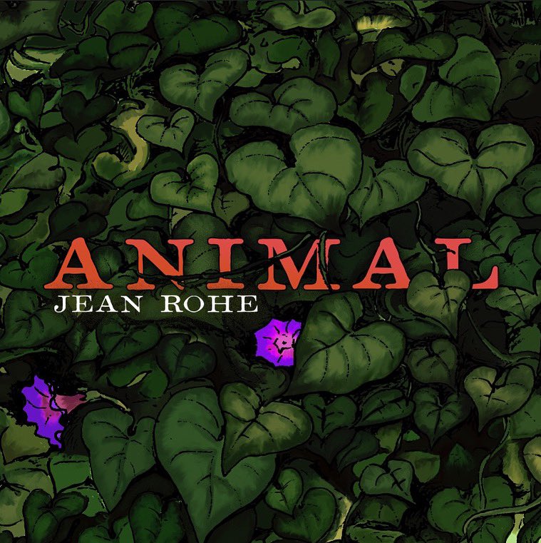 Jean Rohe tweet media