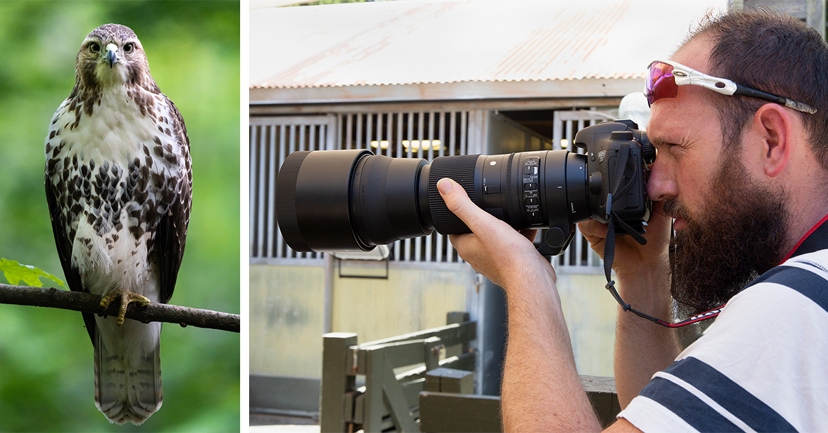 Designed to be lightweight and portable, the Sigma 150-600mm F/5-6.3 for Canon and Nikon DSLR mounts, is a great option when you need to get in close. On sale now for $899.99, save $190 through May 15th! bit.ly/3Pds3JY #rockbrookcamera