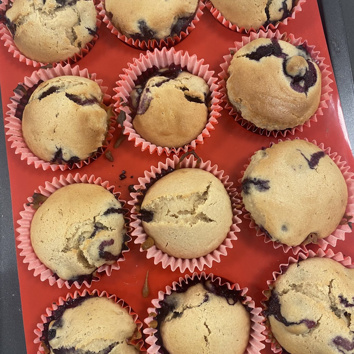 Whitmore_Food's tweet photo. 8X2 & 8Y2 had their breakfast fruit muffin practicals today. A wide range of fruits & flavours explored by all.
Students were excellent. To achieve what they do in 45-50min is amazing. Da iawn all @Caldicot_Sch
#dtfood #edufood #edudt #foodie #teachfood https://t.co/nJ9bRuKKlc