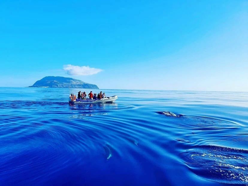 AzoresGeopark's tweet photo. 📷 @ptostefitness
Reposted from @floresbysea_azores
🇬🇧Paradise really exist…
🇵🇹O paraíso existe…
#azoresislands #azoresportugal #azoreslovers #visitazores #visitportugal #azoresadventure #ilhadocorvo #triptocorvo
.
.
#repost #azoresgeopark #azores… https://t.co/pwtiIYvHeP https://t.co/qOnMRAhUdW