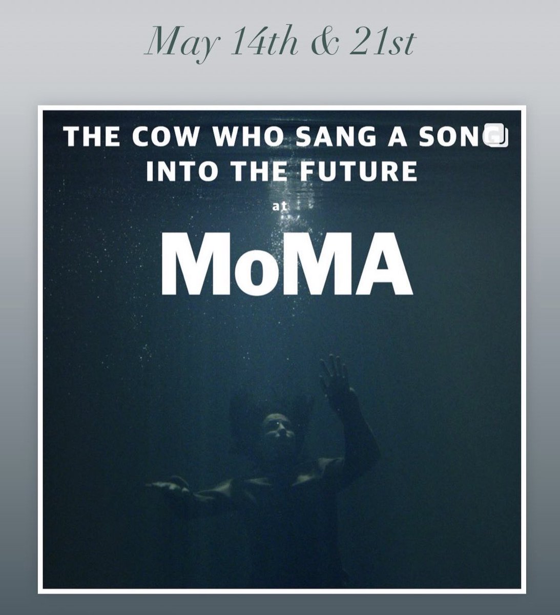 Mia Maestro (@miamaestro) on Twitter photo THE COW WHO SANG A SONG INTO THE FUTURE by <a href="/falegriaz/">Francisca Alegría</a> will have its NYC premiere May 14 & 21 at the <a href="/MuseumModernArt/">MoMA The Museum of Modern Art</a> We hope to see you there! moma.org/calendar/event… THE COW WHO SANG A SONG INTO THE FUTURE by <a href="/falegriaz/">Francisca Alegría</a> will have its NYC premiere May 14 & 21 at the <a href="/MuseumModernArt/">MoMA The Museum of Modern Art</a> We hope to see you there! moma.org/calendar/event…