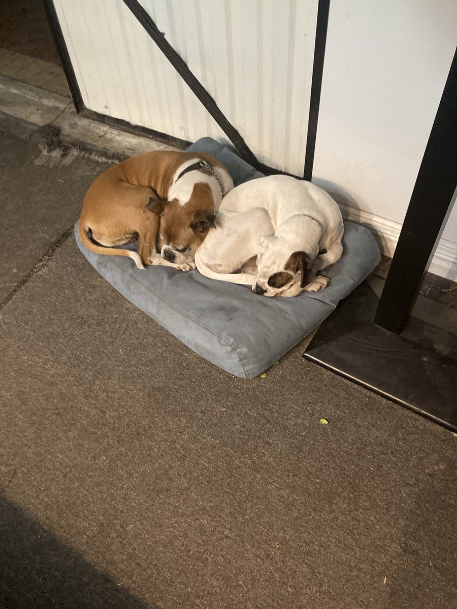 mully1968's tweet image. Ha all worn out 👍