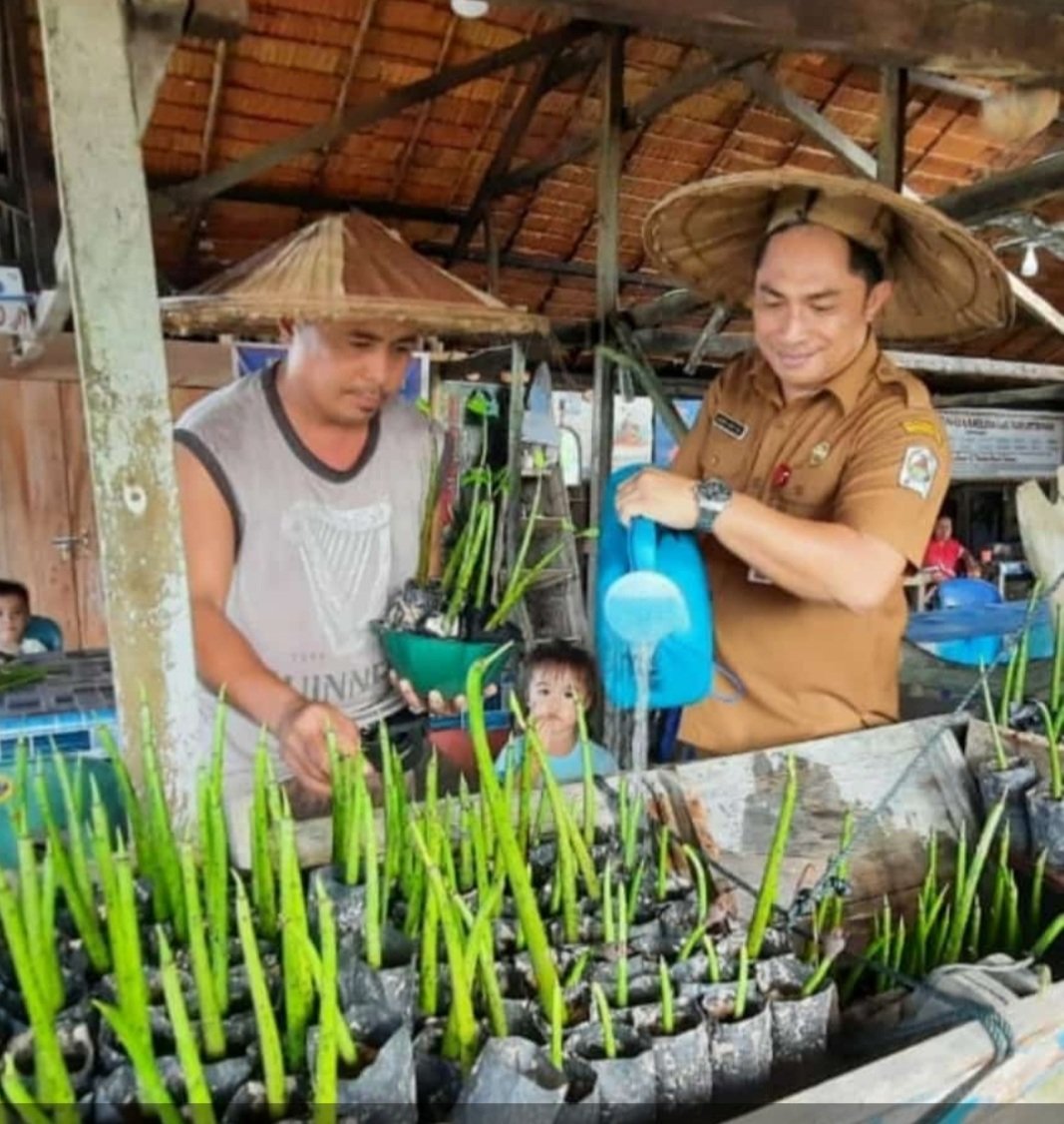 Jaya Telaumbanua tweet media