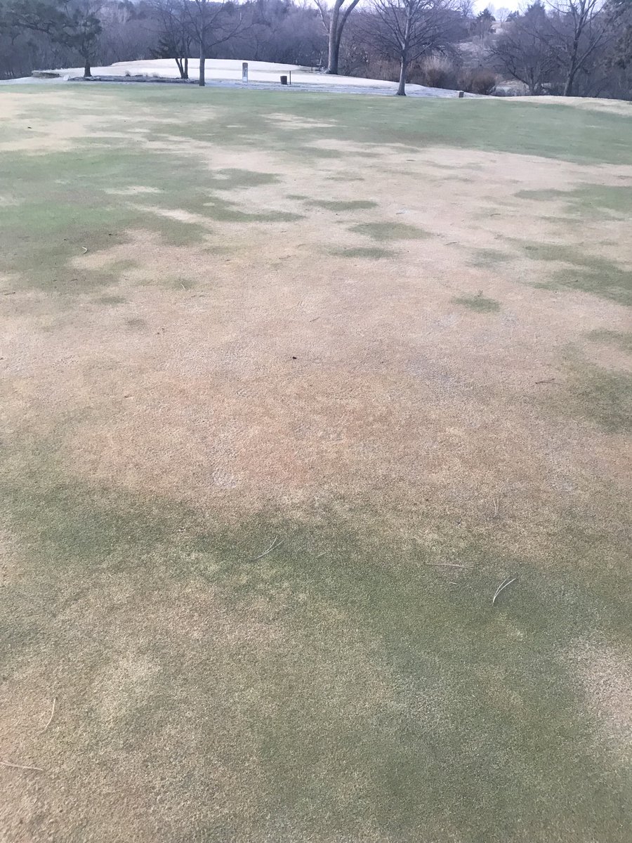 Mark McKain tweet media