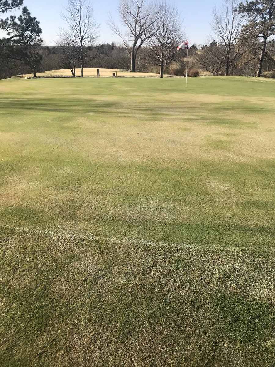 Mark McKain tweet media