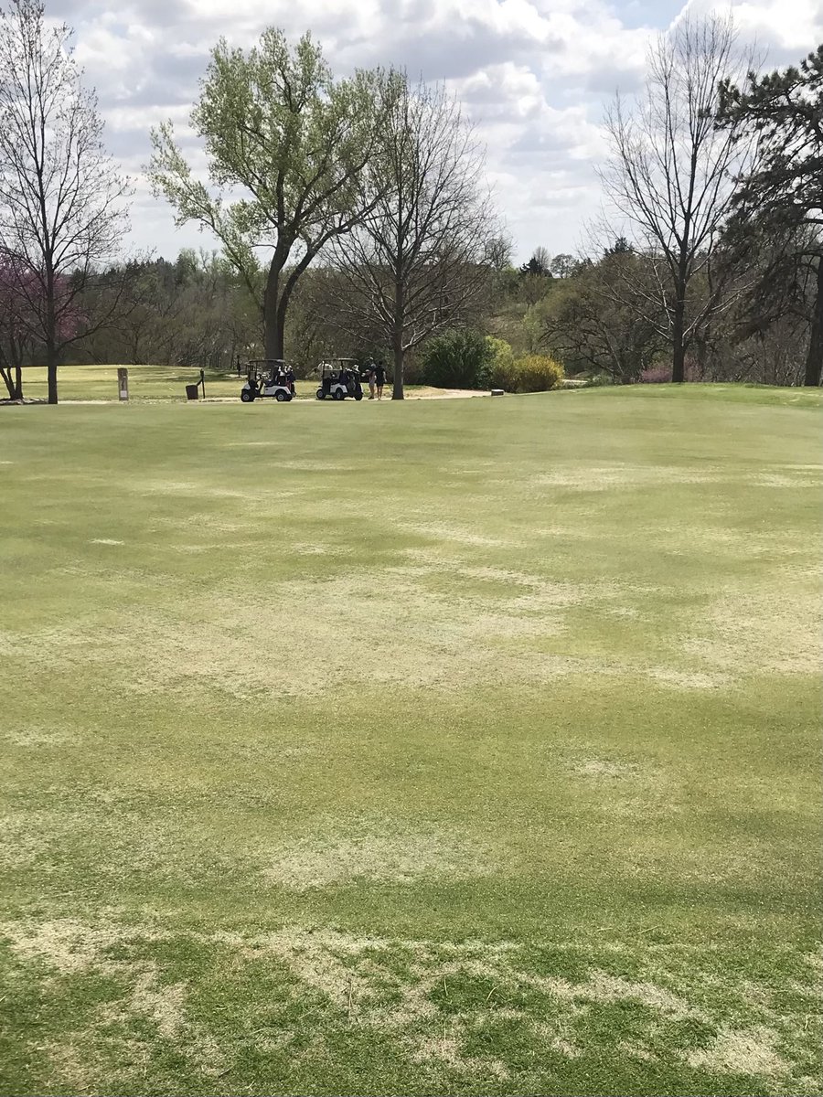 Mark McKain tweet media