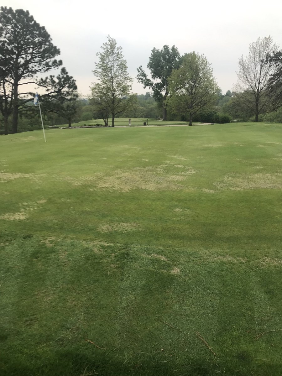 Mark McKain tweet media