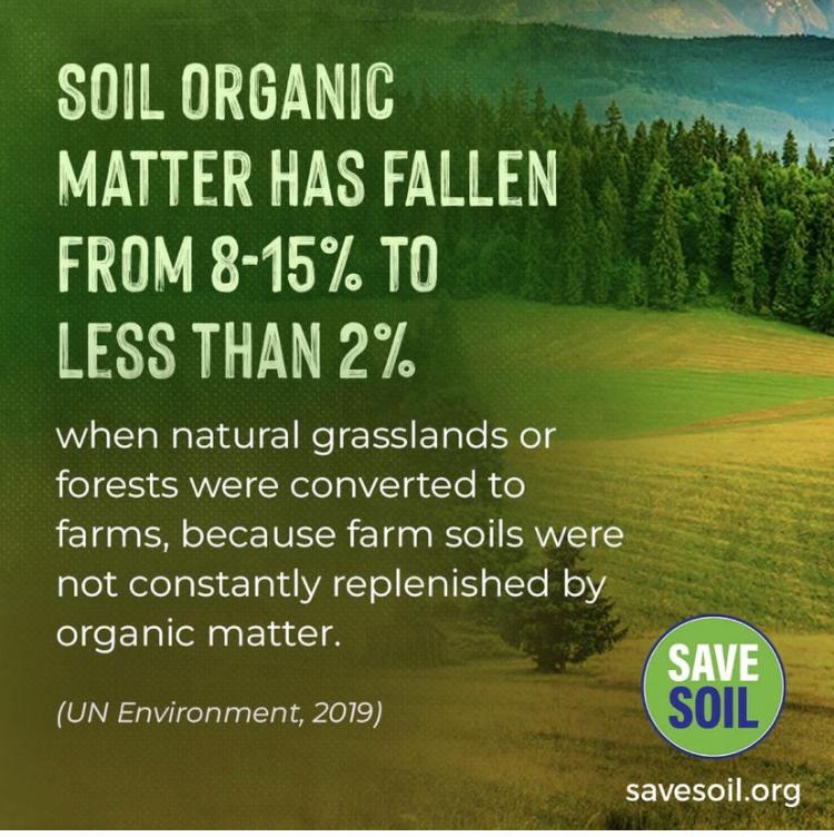 TweetRS001's tweet photo. When you are hungry, would you search for food or seeds? Let us act now and save soil to avoid food extinction that knocks at the door. #SaveSoilAtCOP15 #SaveSoil https://t.co/G1BV9H2CyH