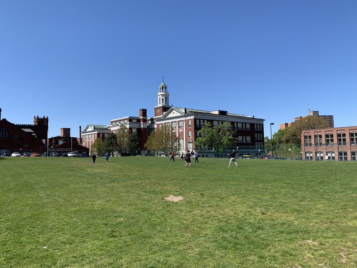 Tolman PE tweet media