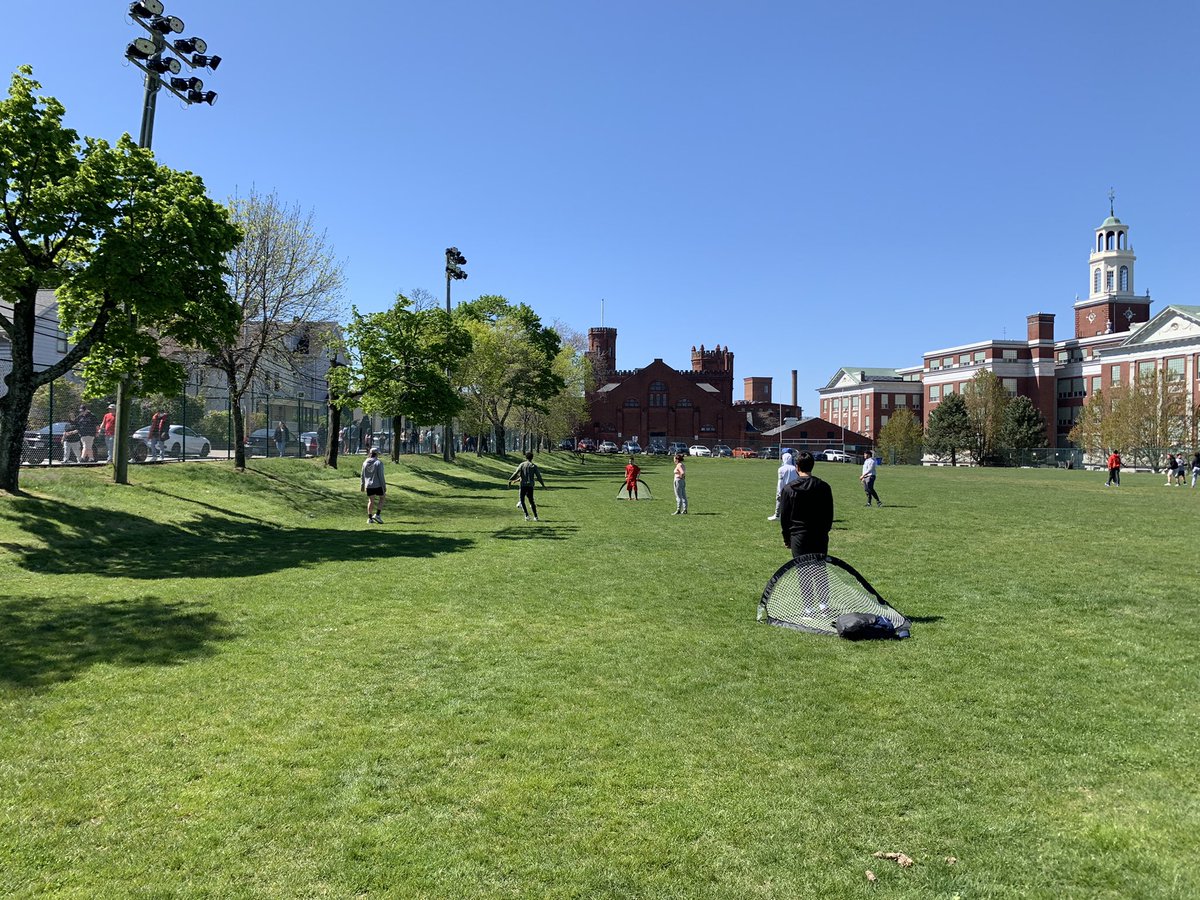 Tolman PE tweet media